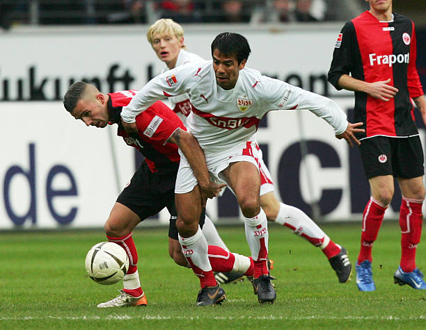 有望激发中 有望激发中